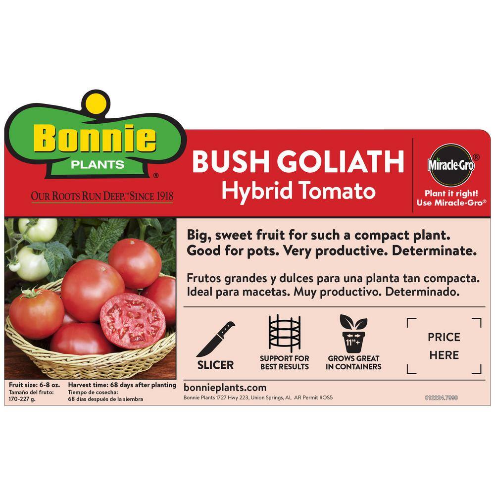 Bonnie Plants 19 oz. Goliath Tomato Bush Plant 1003800470
