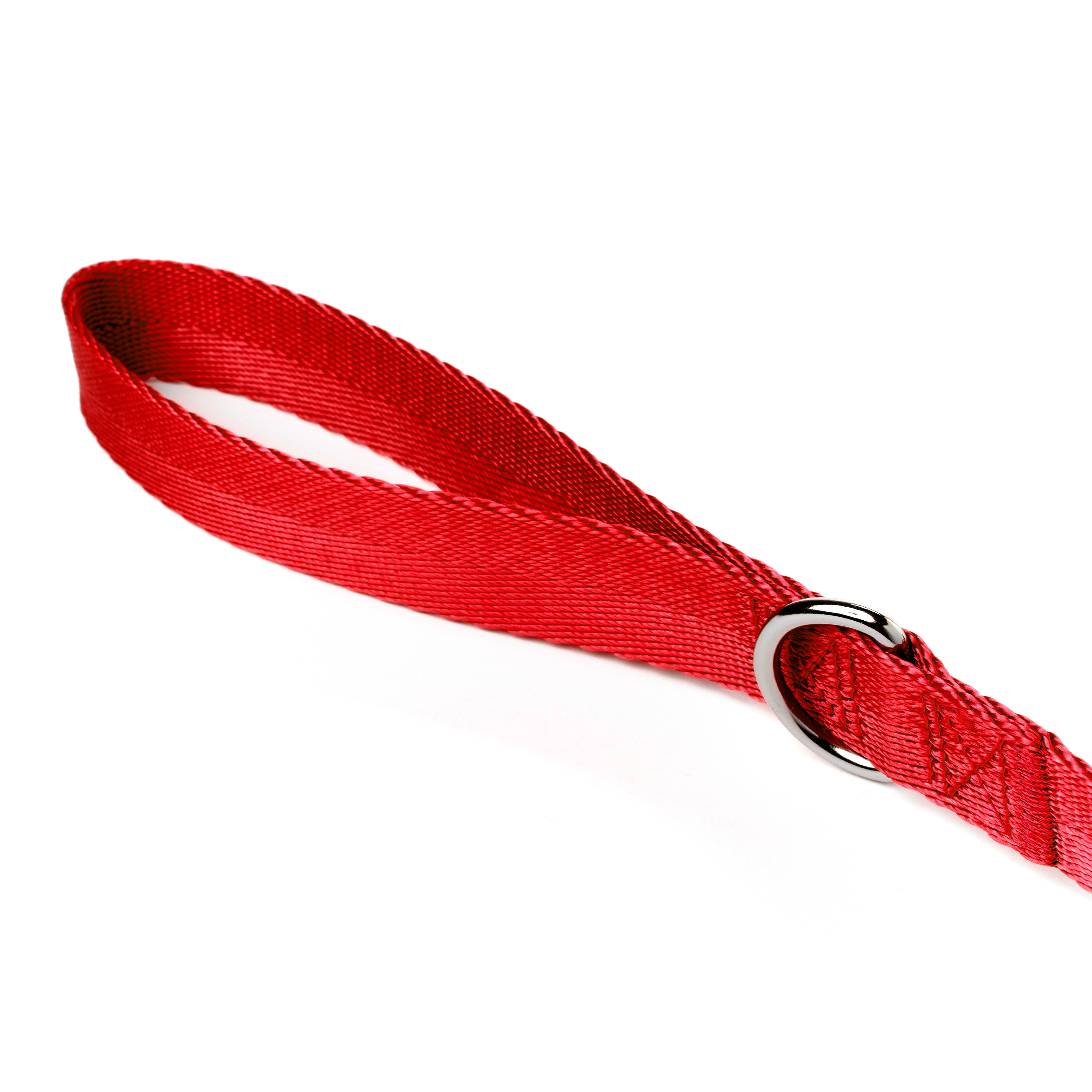 YOULY The Classic Red Webbed Nylon Dog Leash， 4 Foot