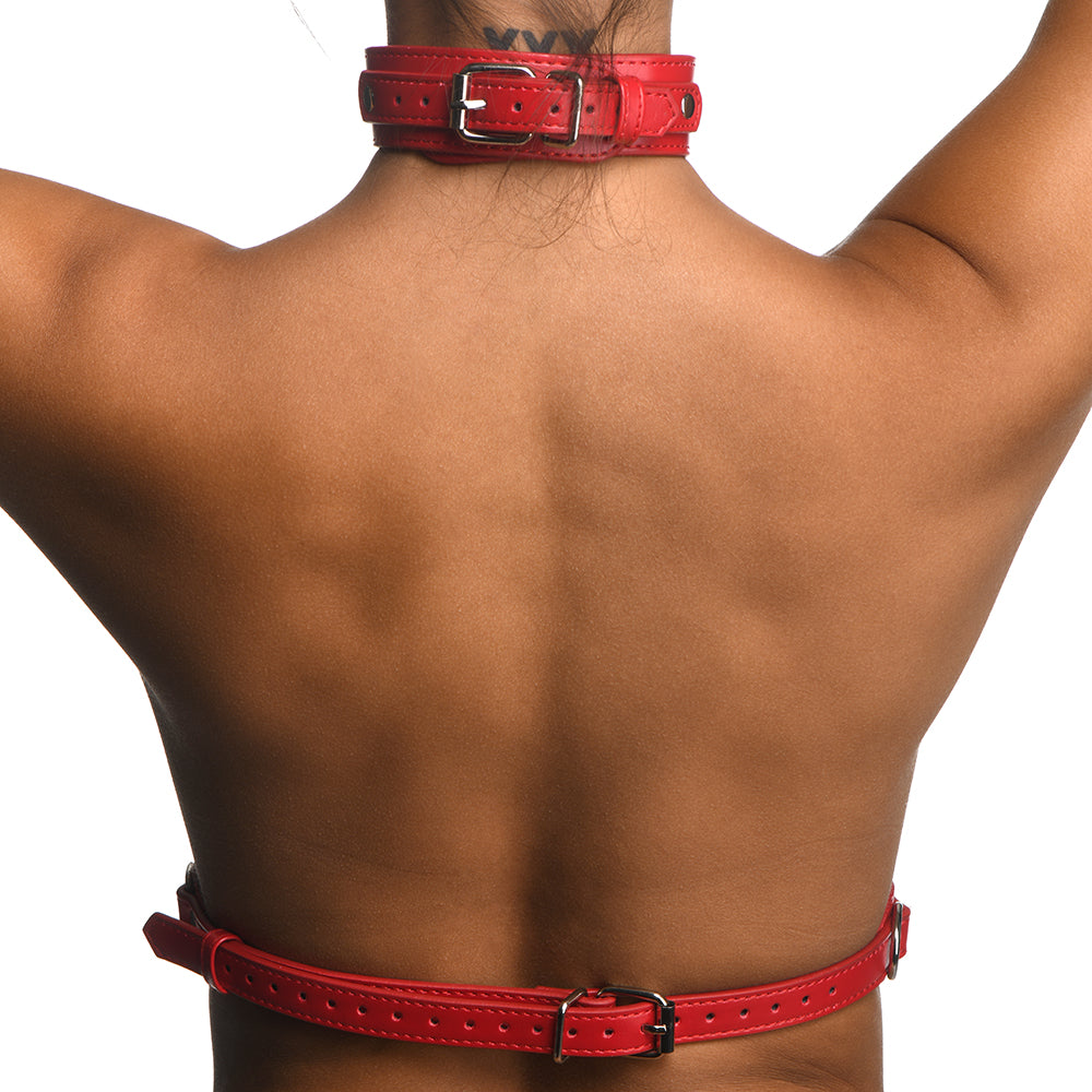 Strict Red Female Chest Harness in M/L