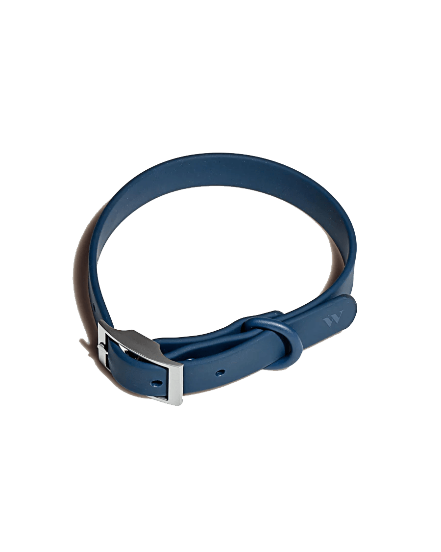 Wild One Pet Collar