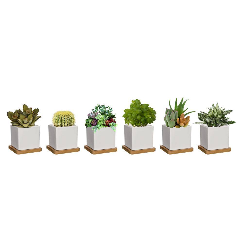 CHG CLASSIC HOME  GARDEN 3.5 in. Nova White Ceramic Planter with Tray (6-Pack) K90031