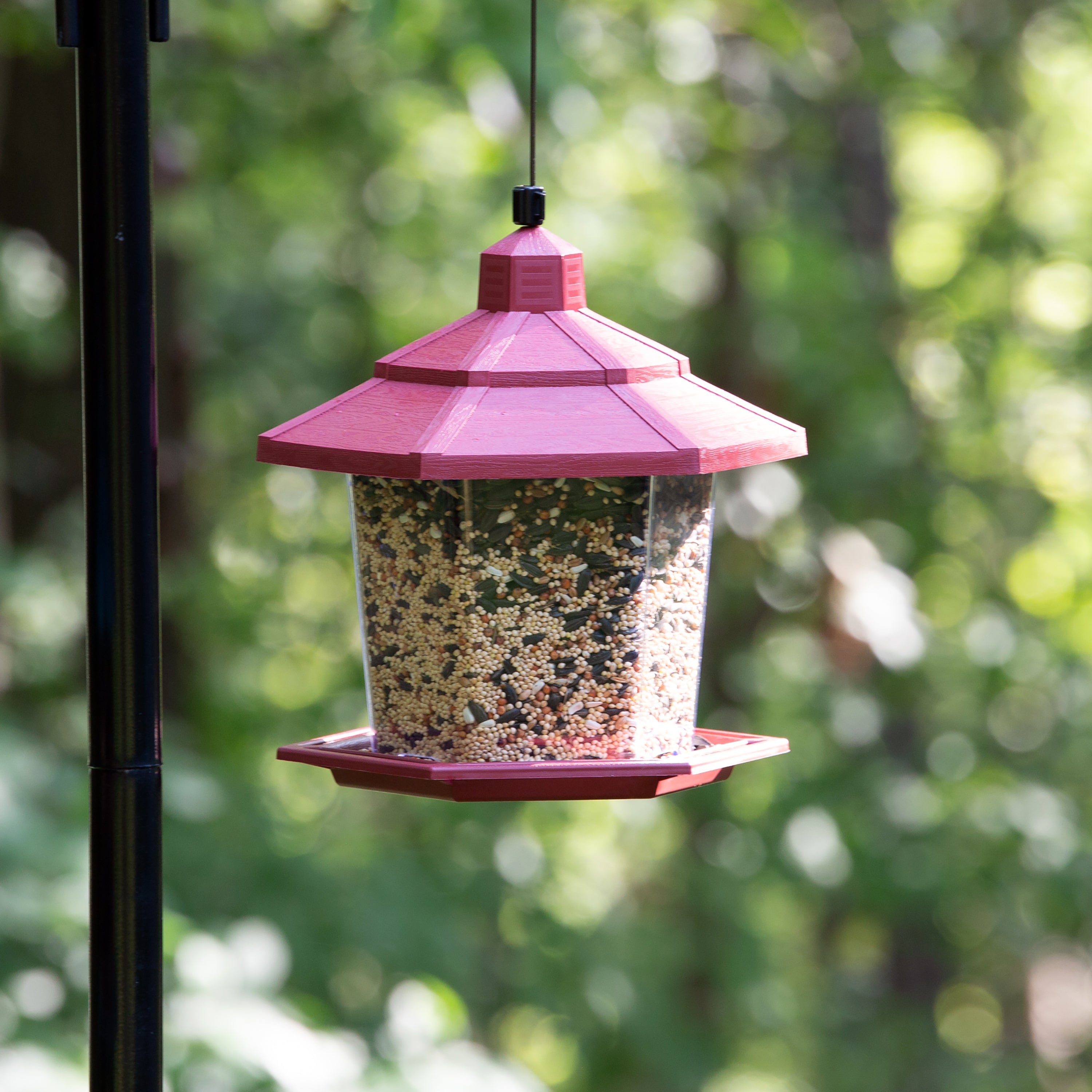 Pennington Wild Bird Feeder Earth Smart Petite Ecozebo， 2.5 lb. Seed Capacity