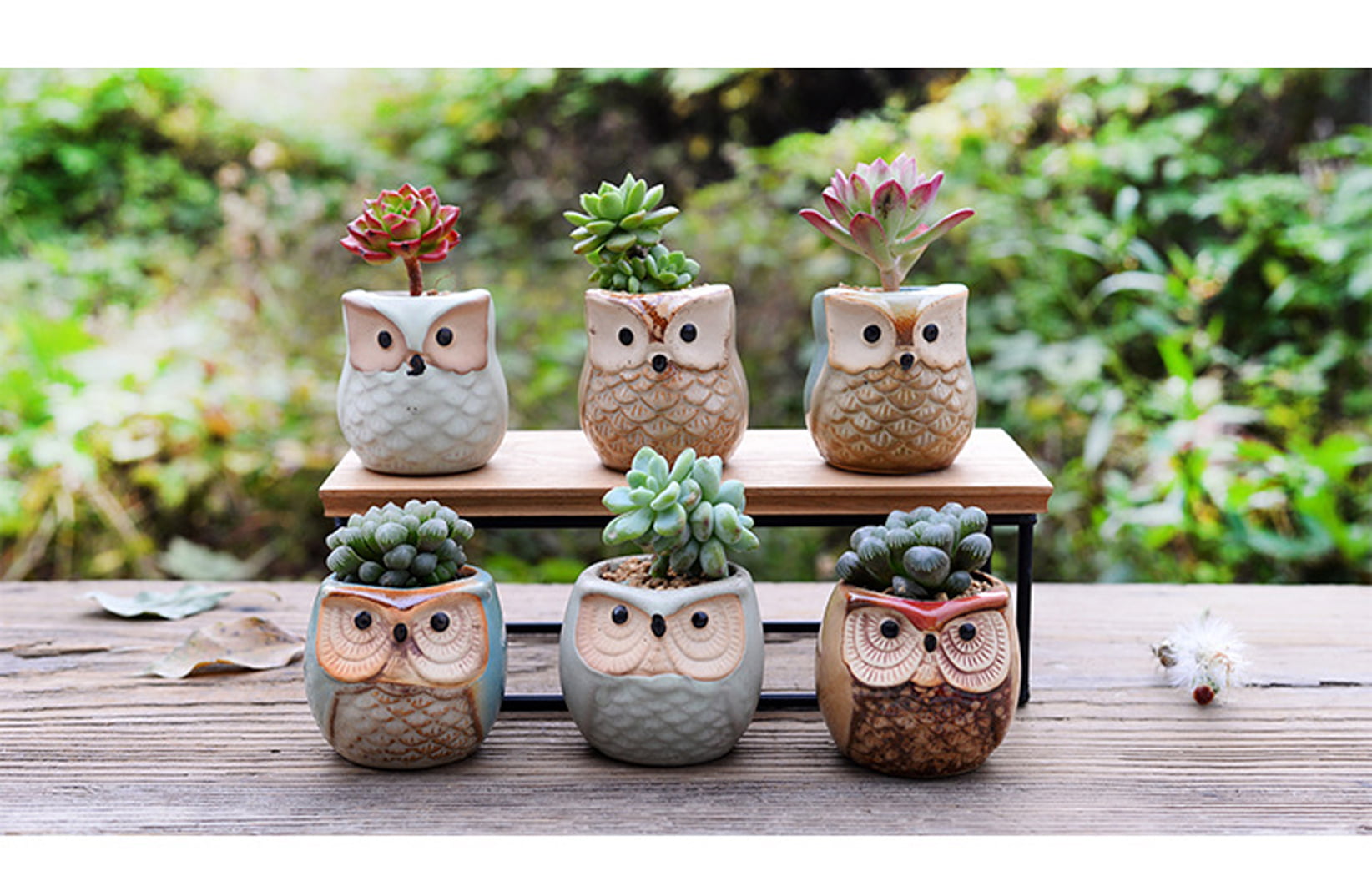 2CFUN 2.5 Inch Owl Ceramic Succulent Plants Pots Pack of 6