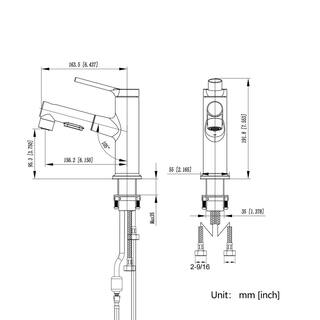 GIVING TREE Single Handle Single Hole Deck Mount Bathroom Faucet with Pull Out Sprayer in Chrome HDYN-ZG0050