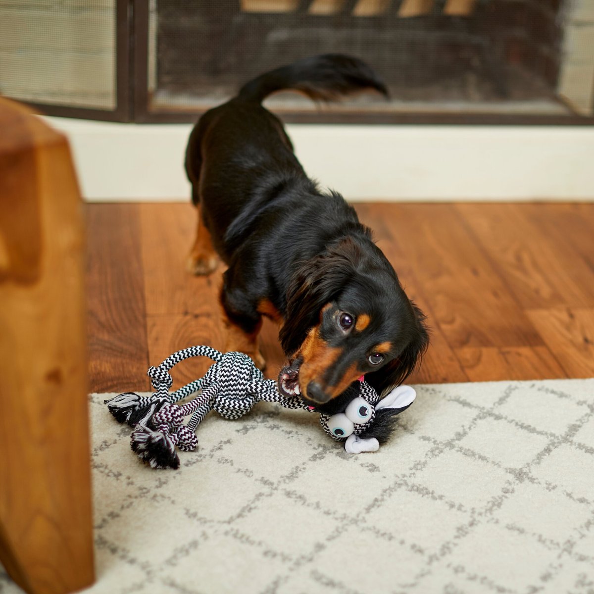 Frisco Zebra Rope Squeaky Dog Toy