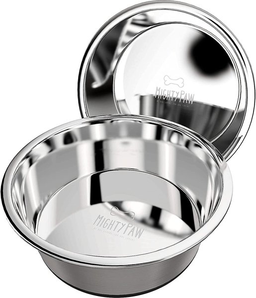 Mighty Paw Stainless Steel Dog Bowl， 2 count