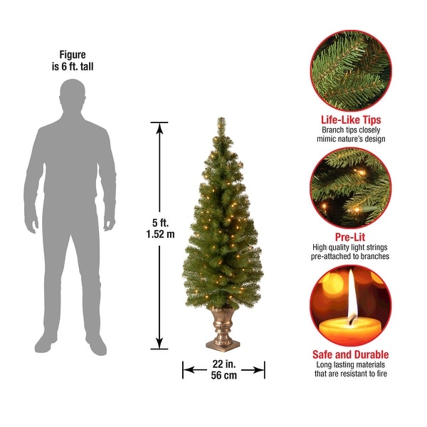 Prelit Artificial Christmas Tree For Entrances | Includes Prestrung White Lights and Stand | Montclair Spruce，5 ft