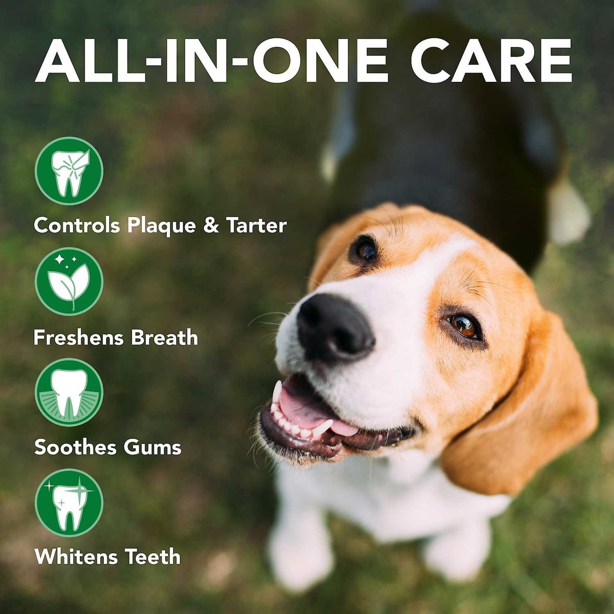 Vet's Best Enzymatic Dog Toothpaste