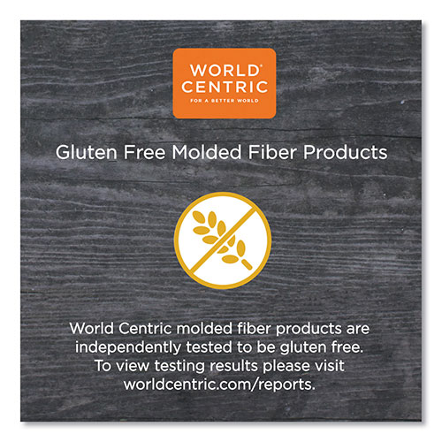 World Centric Fiber Trays | PLA Lined， PFAS Free， 18 x 14 x 1， Natural， 100