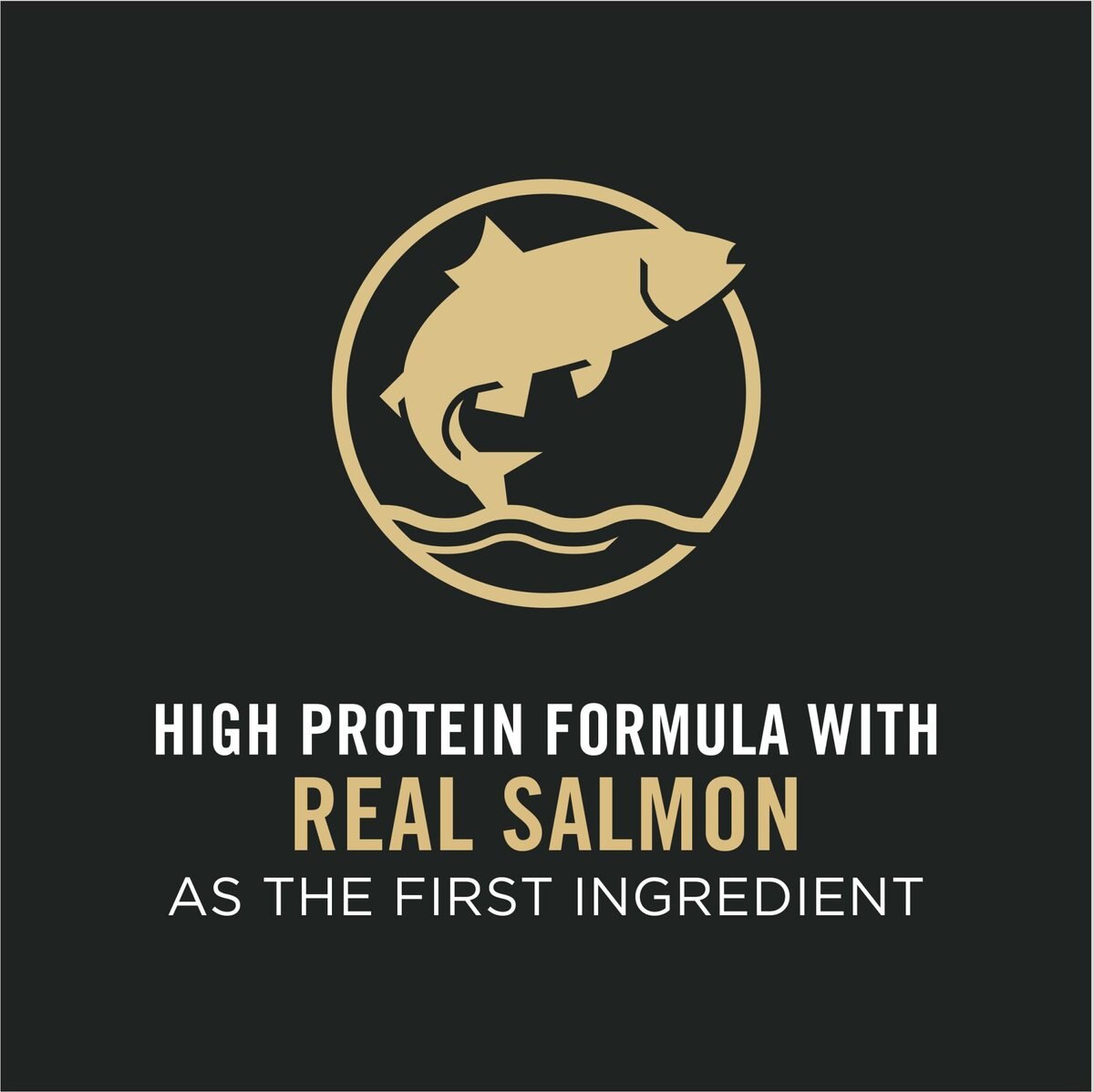 Purina Pro Plan Salmon and Rice Formula High Protein 7+ Senior Dry Cat Food