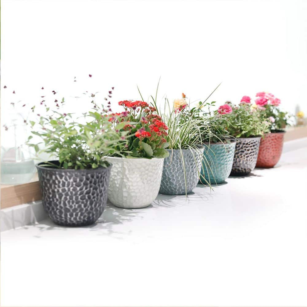 Worth Garden 8 in. Dia. Multicolor Plastic Plant Pots (6-Pack) G942A06