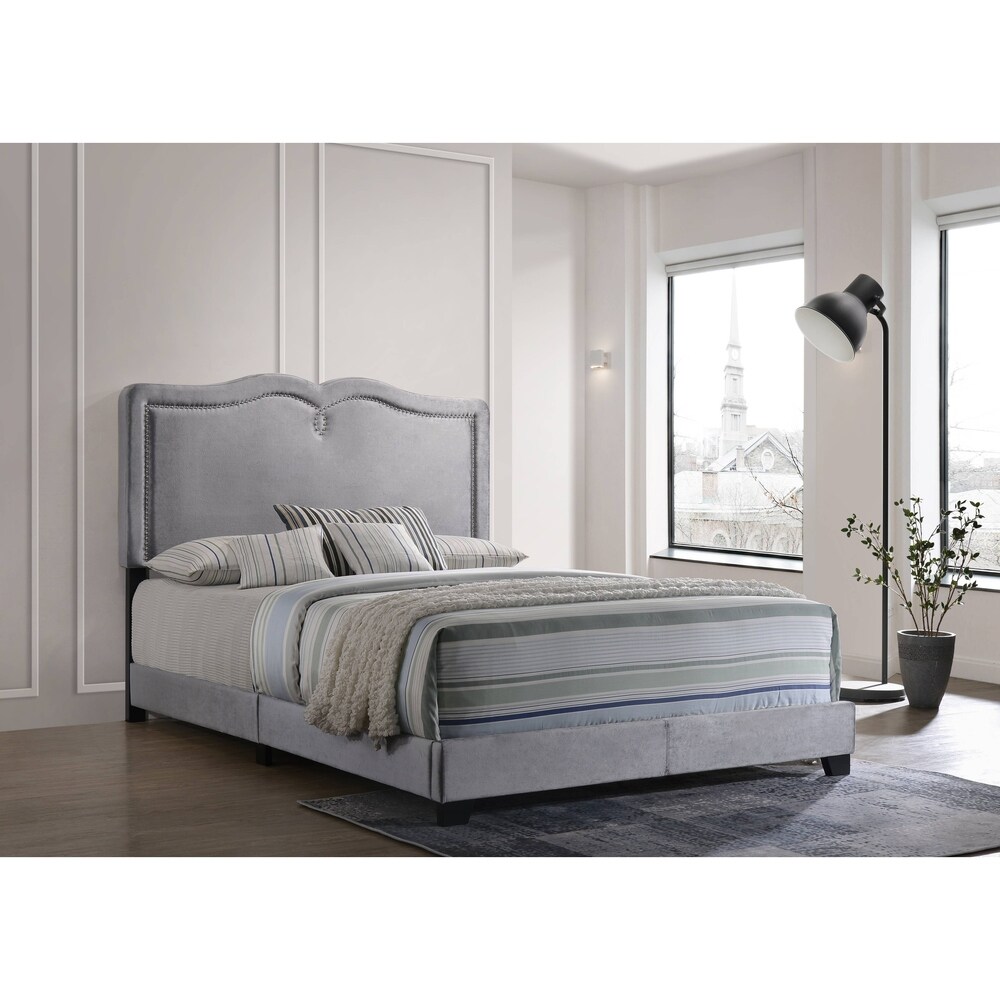 ACME Reuben Queen Bed in Gray Velvet