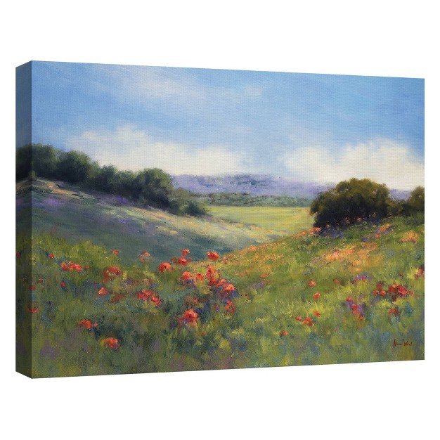 Poppies With A View By Alice Weil Wrapped Unframed Wall Canvas Art Masterpiece Art Gallery