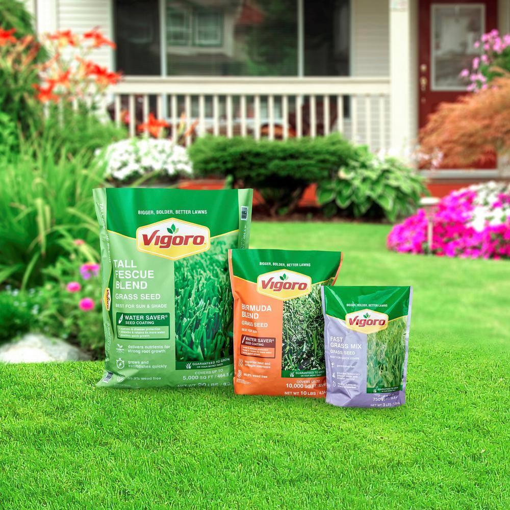 Vigoro 20 lbs. Tall Fescue Grass Seed Blend with Water Saver Seed Coating 25686