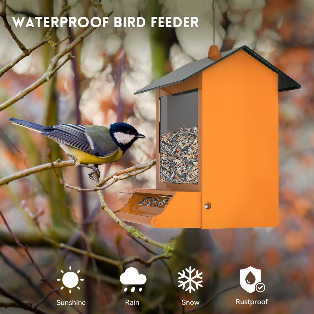 Squirrel proof outdoor wild bird feeder