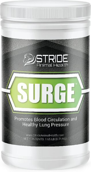 Stride Animal Health Surge Lung Support Horse Supplement， 1.65-lb jar