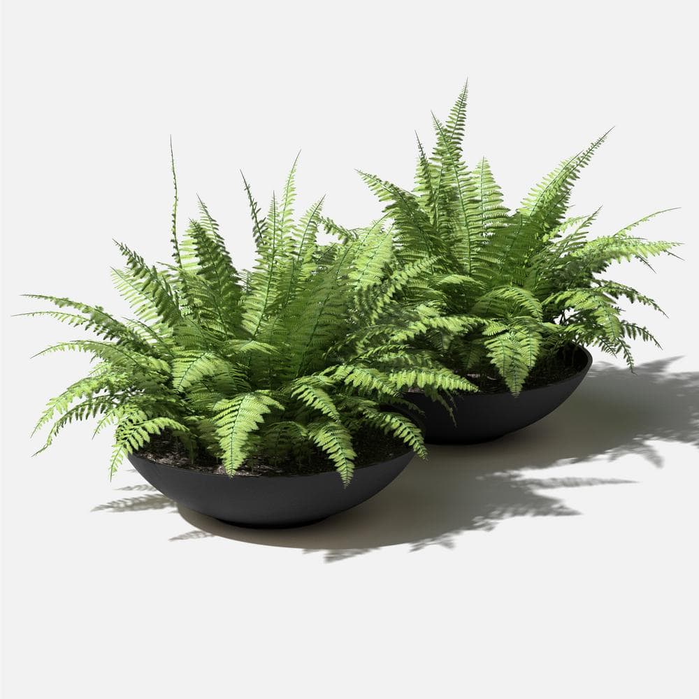 Veradek Lane Bowl 24 in. Black Plastic Round Planter (2-Pack) LBV24B-2PK