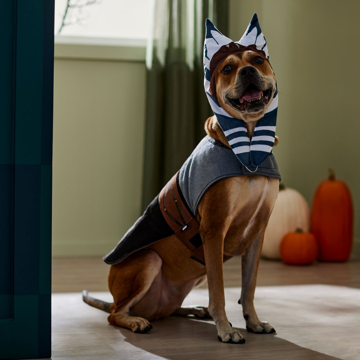 STAR WARS AHSOKA Dog and Cat Costume