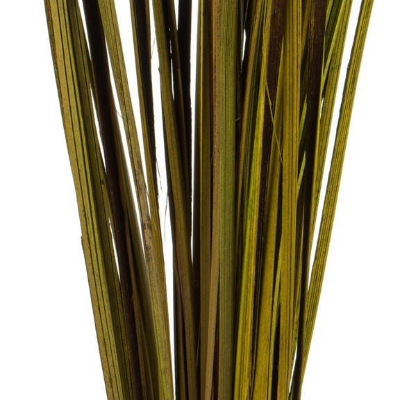 Vickerman 28  36 Splinter Grass 22oz