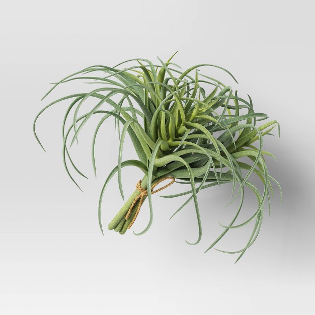 Air Plant Mini Stem Bundle