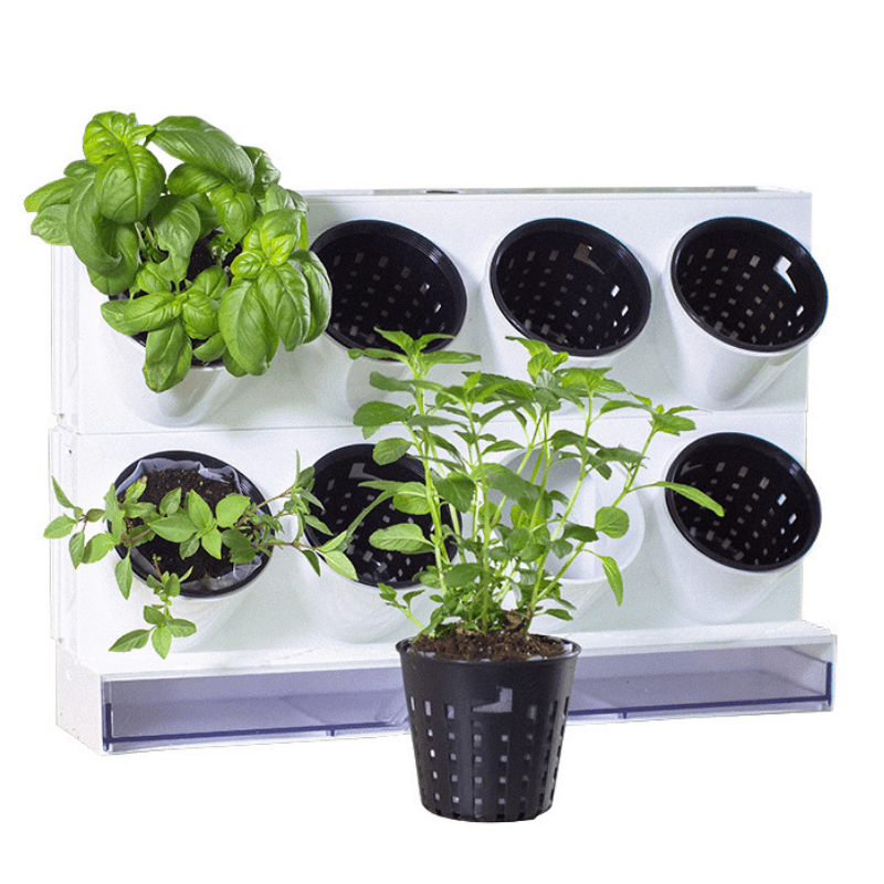 Countertop Garden Kit