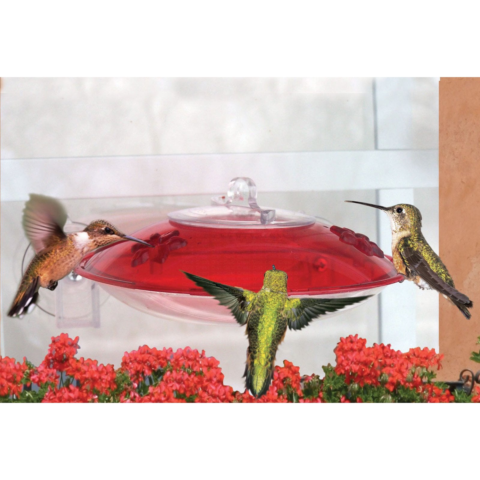 Droll Yankees Window Hummer 3 Hummingbird Feeder with 2 Ports