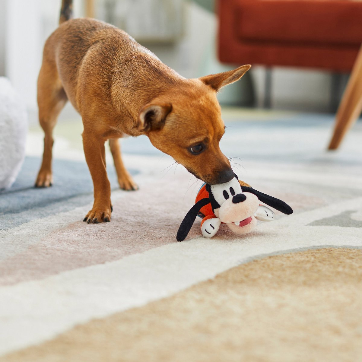 Disney Goofy Plush Squeaky Dog Toy