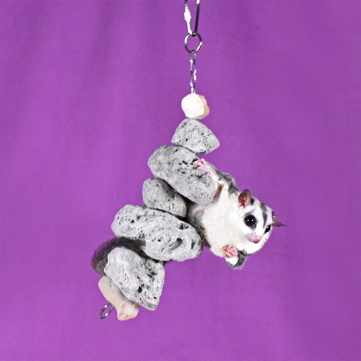 Exotic Nutrition Pumice Hanging Sugar Glider and Mouse Chew Toy