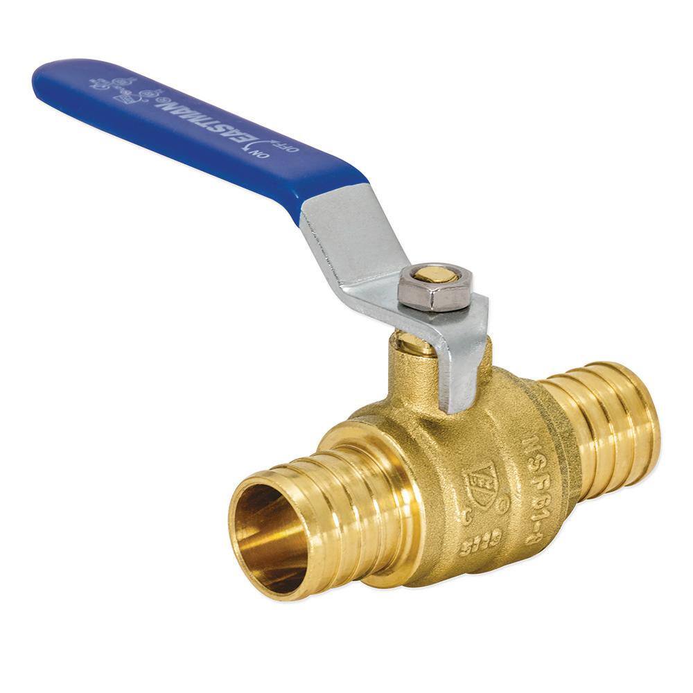 EASTMAN 1 in. x 1 in. PEX Ball Valve 20095LF