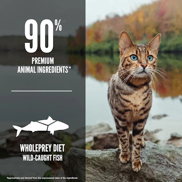 ORIJEN Grain Free Six Fish Premium High Protein Fresh and Raw Animal Ingredients Dry Cat Food， 4 lbs.