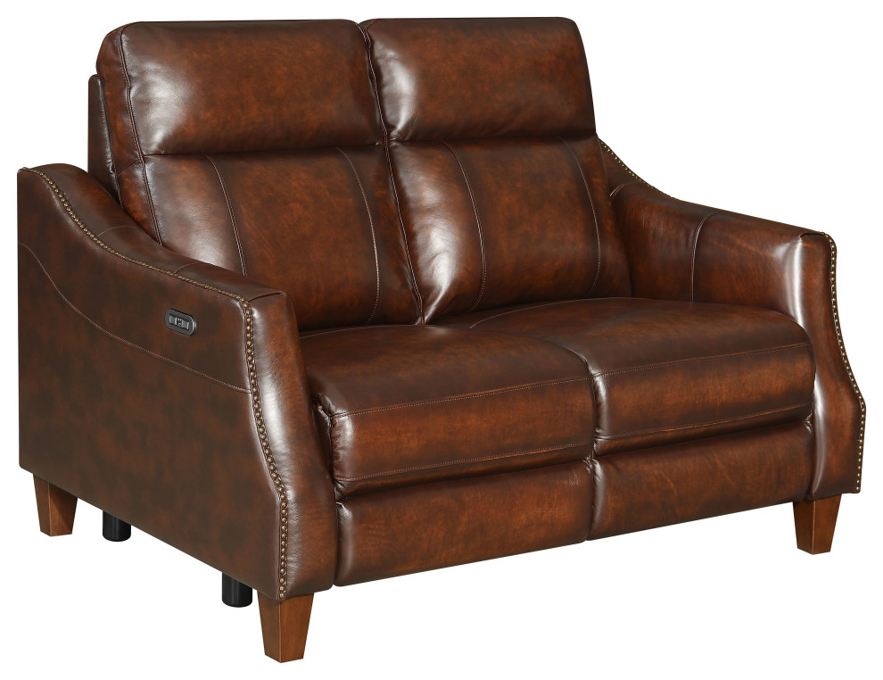 Akari Power Reclining Loveseat   Transitional   Loveseats   by HedgeApple  Houzz