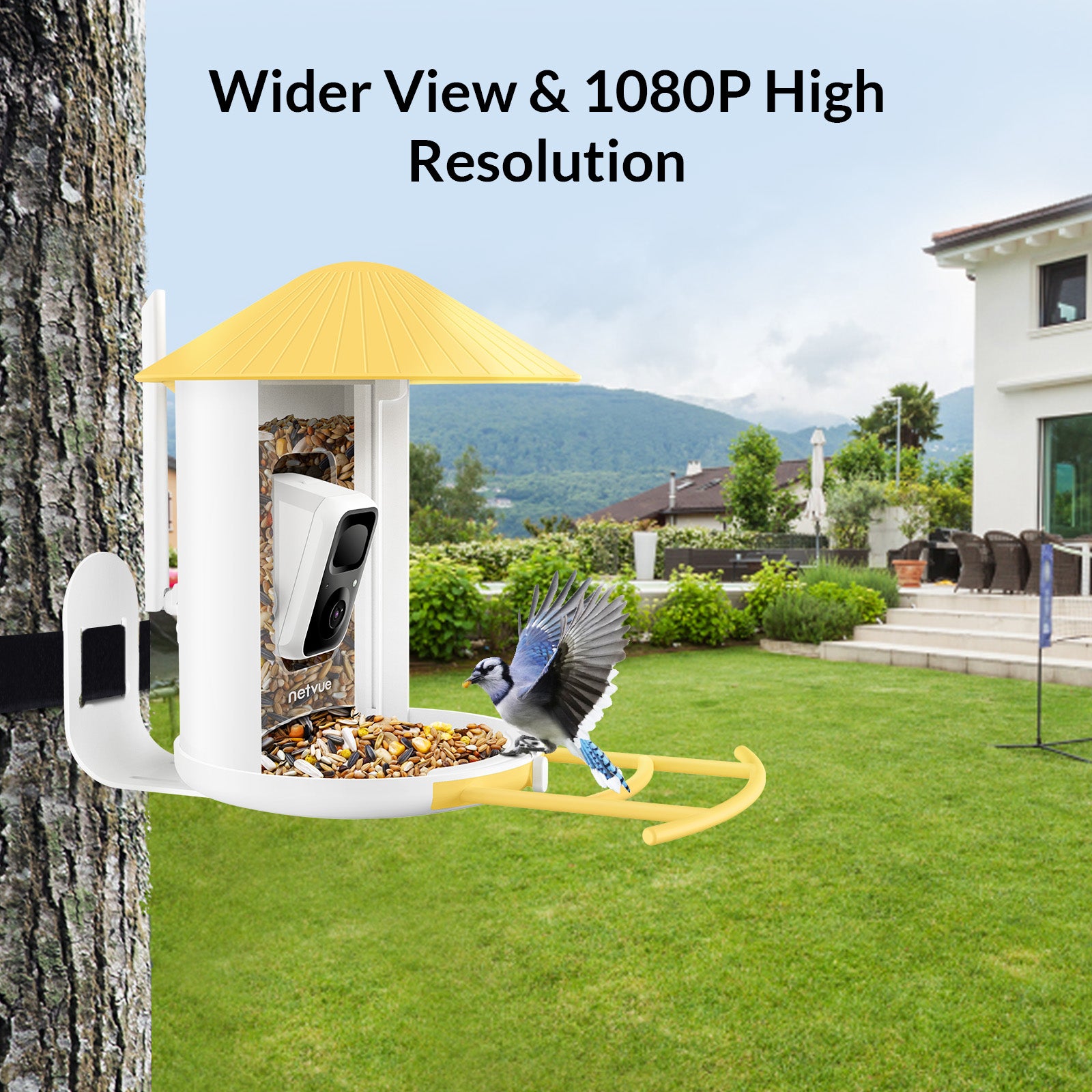 Bird Feeder Camera Outdoor Netvue Birdfy Smart Bird Feeder for Bird Watching， Capture Images/Videos with APP Notification， Bird Gifts for Parents， Hopper Feeder， Yellow(Birdfy Lite + Solar Panel)