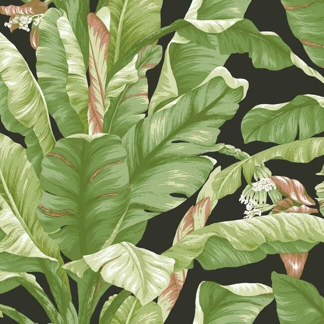 Banana Leaf Peel & Stick Wallpaper in Green and Black by York Wallcoverings