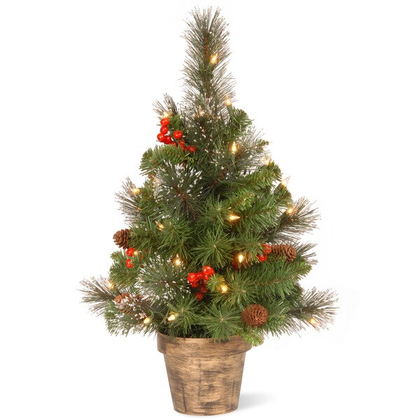 National Tree Company 2 ft. Crestwood Spruce Tree with Clear Lights