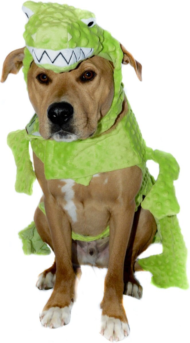 Royal Animals Dragon Dog Costume