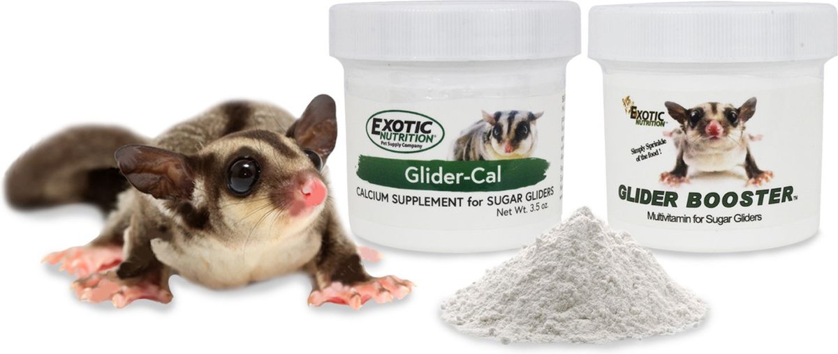 Exotic Nutrition Glider-Cal Calcium Sugar Glider Supplement