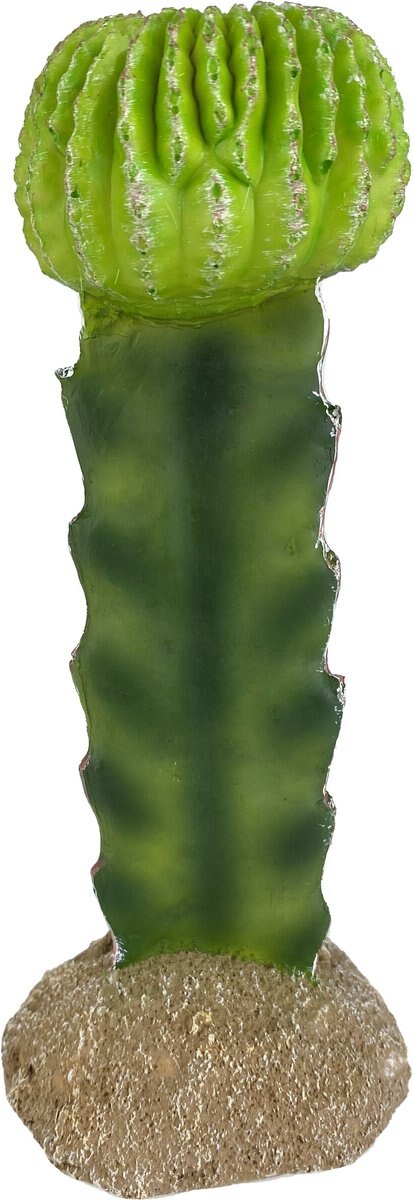 Komodo Cactus Moon Reptile Ornament， Green