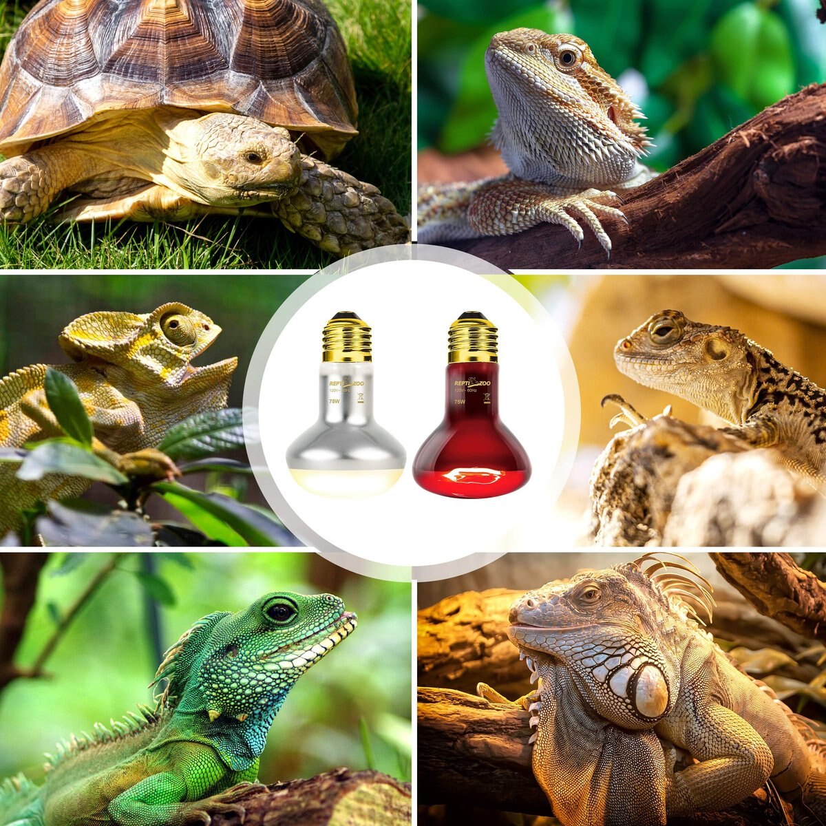 REPTI ZOO Basking Spot Lamp and Nocturnal Infrared Heat Lamp-75W Reptile Bulb， Multicolor， 4 count