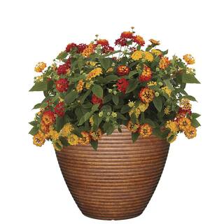 CHG CLASSIC HOME  GARDEN 13 in. Burnished Cali Resin Planter 4783-189R