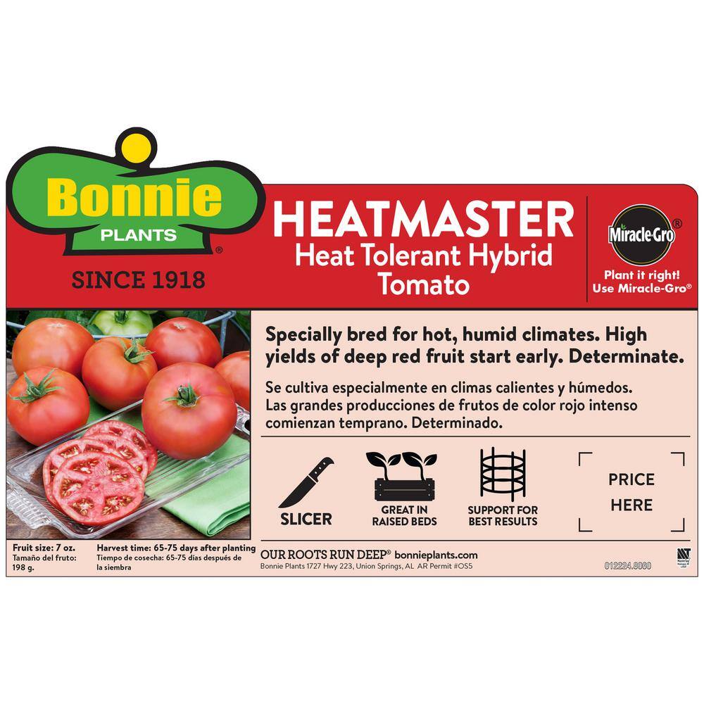 Bonnie Plants 2.32 qt. Heatmaster Tomato Plant 0271