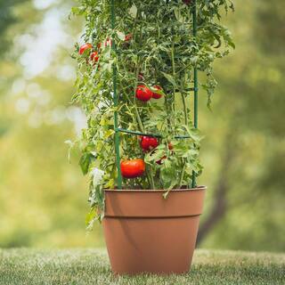 Gardener's Blue Ribbon Ultomato Tomato Plant Cage TMC60