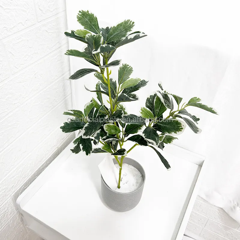 48cm height Japanese Polyscias guilfoylei Artificial Tree Leaves single pole stem artificial plant for indoor decor