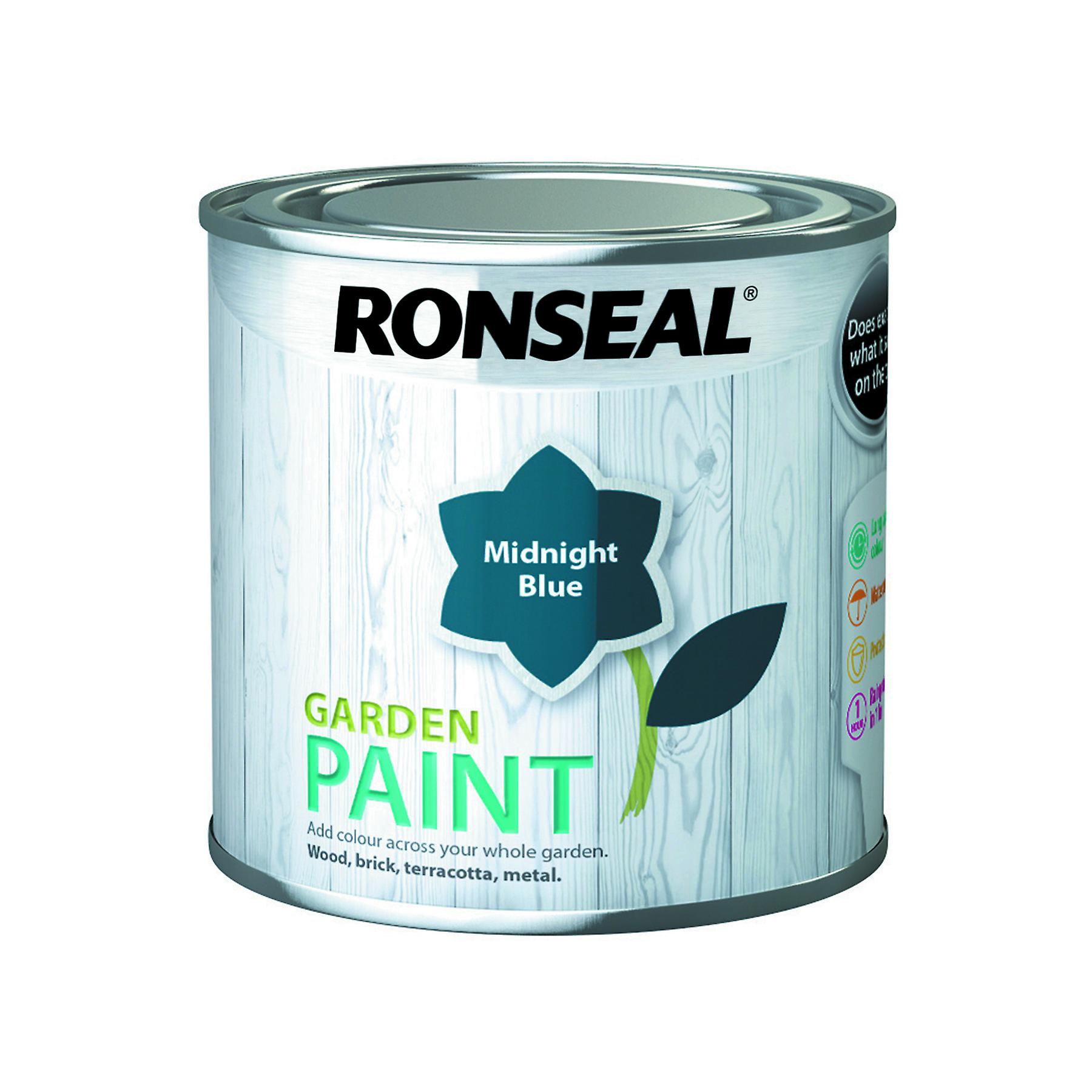 Ronseal Outdoor Garden Paint 250ml Midnight Blue