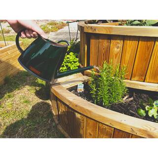 Bosmere English Garden Handy 1.4 l (0.37 Gal.) Green Translucent Plastic Watering Can V551G