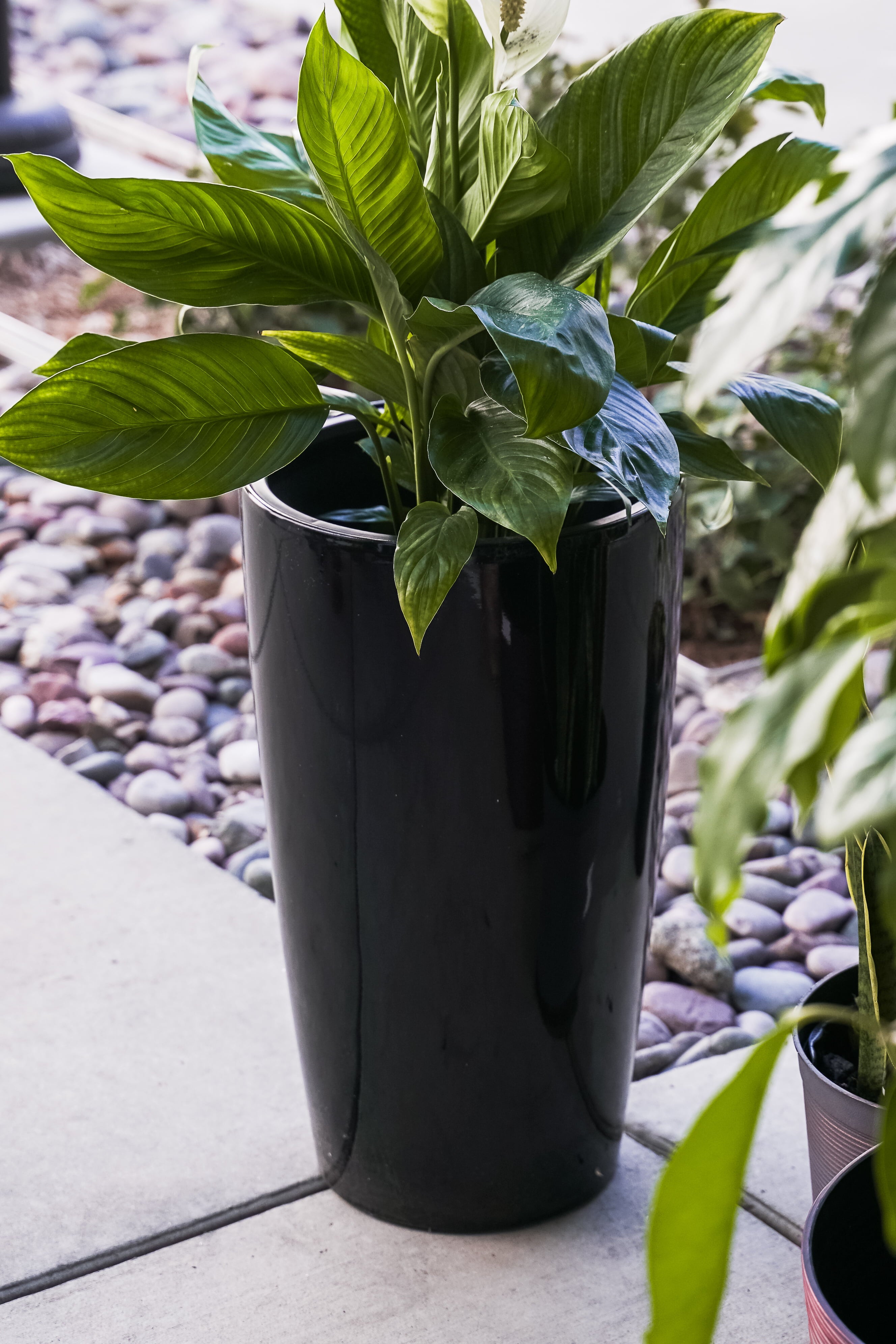 XBrand 21" H Black Plastic Self Watering Indoor Outdoor Tall Round Planter Pot w/Glossy Finish, Decorative Gardening Pot, Home Décor Accent