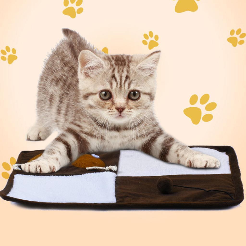 Kitten Scratching Pad Cat Scratcher Sleeping Mat Small Medium Kitten Square