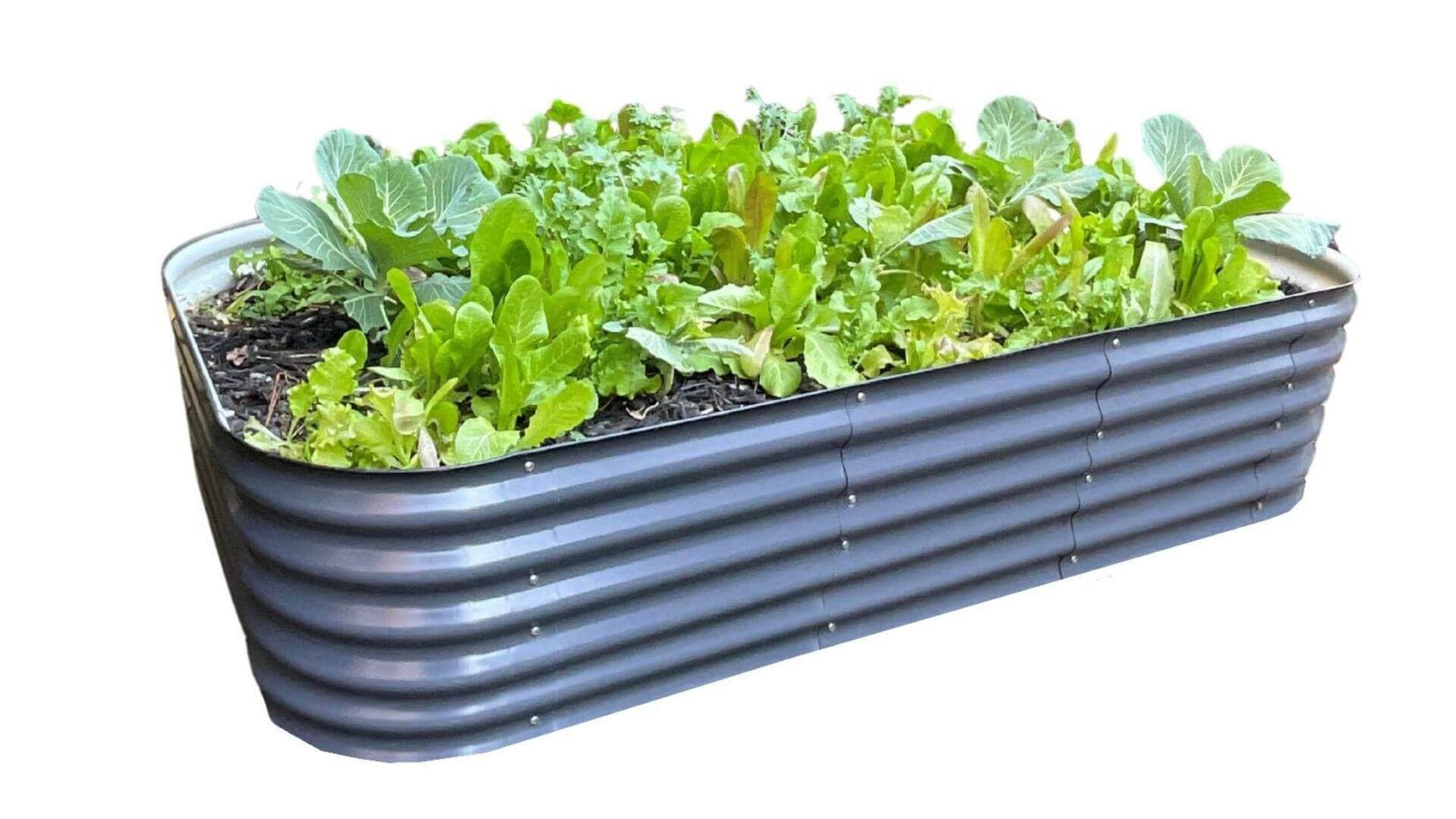 VegHerb's 9-in-1 Metal Raised Garden Bed (17