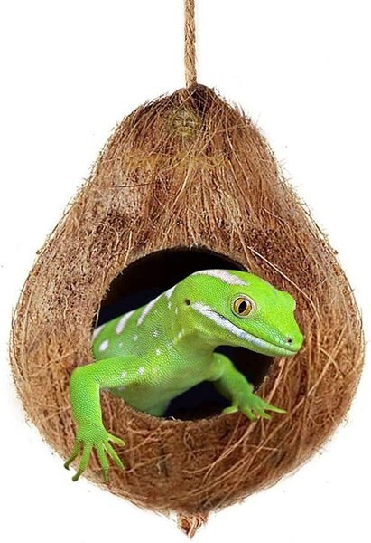 SunGrow Crested and Leopard Gecko Coconut Hide， Humid Cave for Frog， Reptile and Amphibian