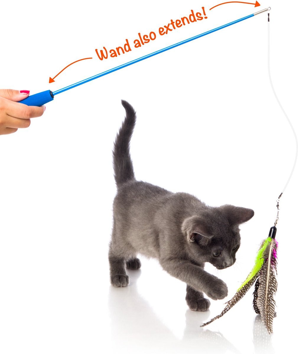 Hartz Just For Cats Kitty Caster Cat Wand Toy with Catnip， Color Varies