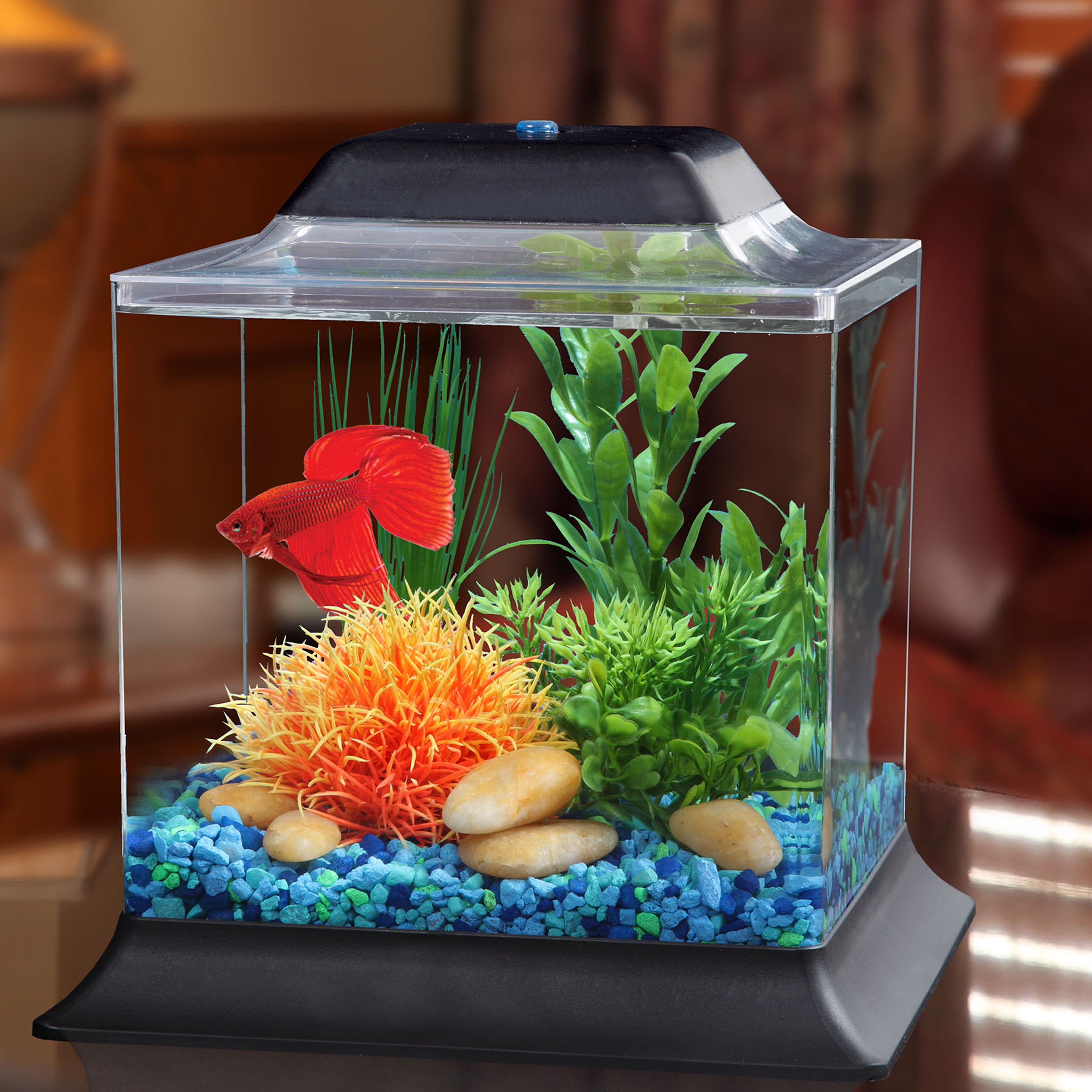 KollerCraft 1.5-Gallon Betta Fish Aquarium Kit